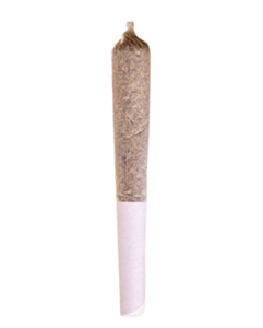 POTLUCK Maple Pancakes Pre-Roll 1x0.5g